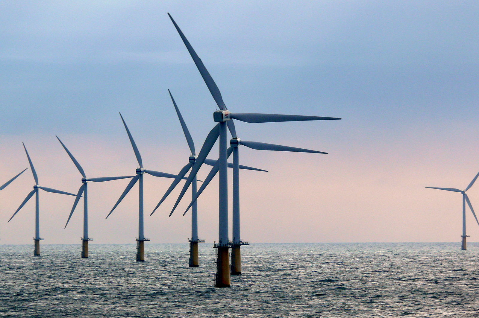 The potential in offshore wind is huge. Source: © Ad Meskens / Wikimedia Commons