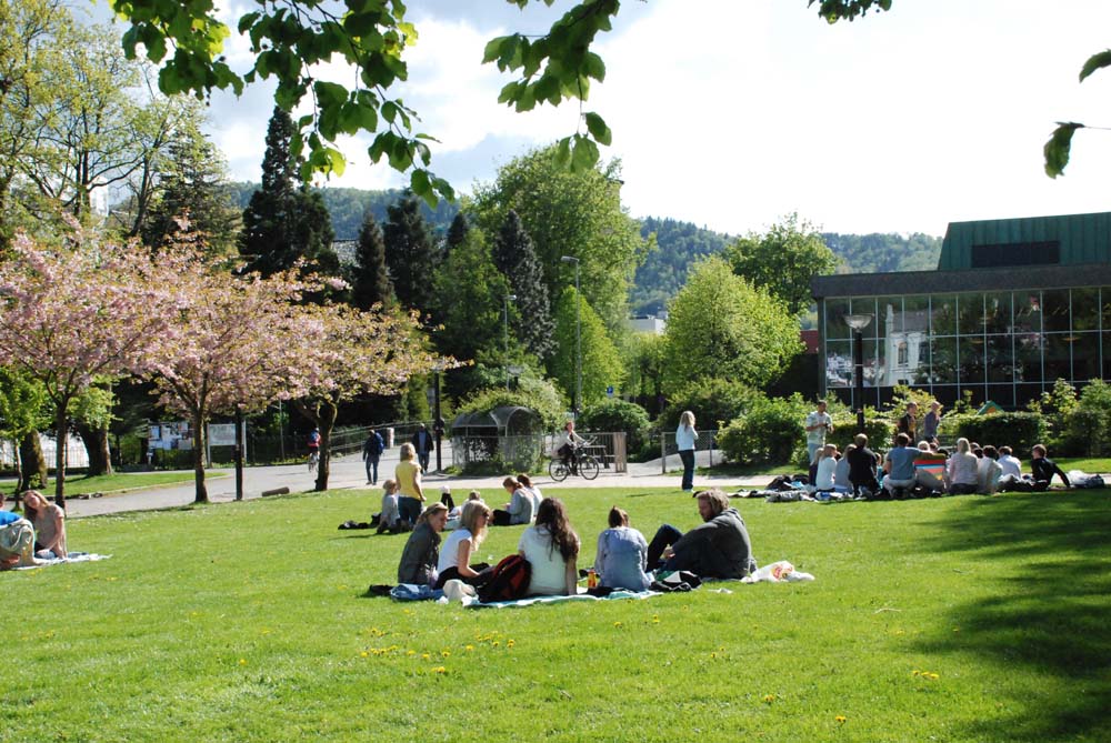 Dersom det hadde vært mindre finvær i Bergen, ville nok også UiB studentene brukt tilstrekkelig tid på studiene. FOTO: (flickr).